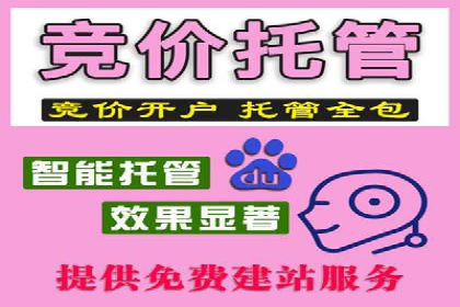 成功案例解析：SEM竞价托管助力企业品牌升级